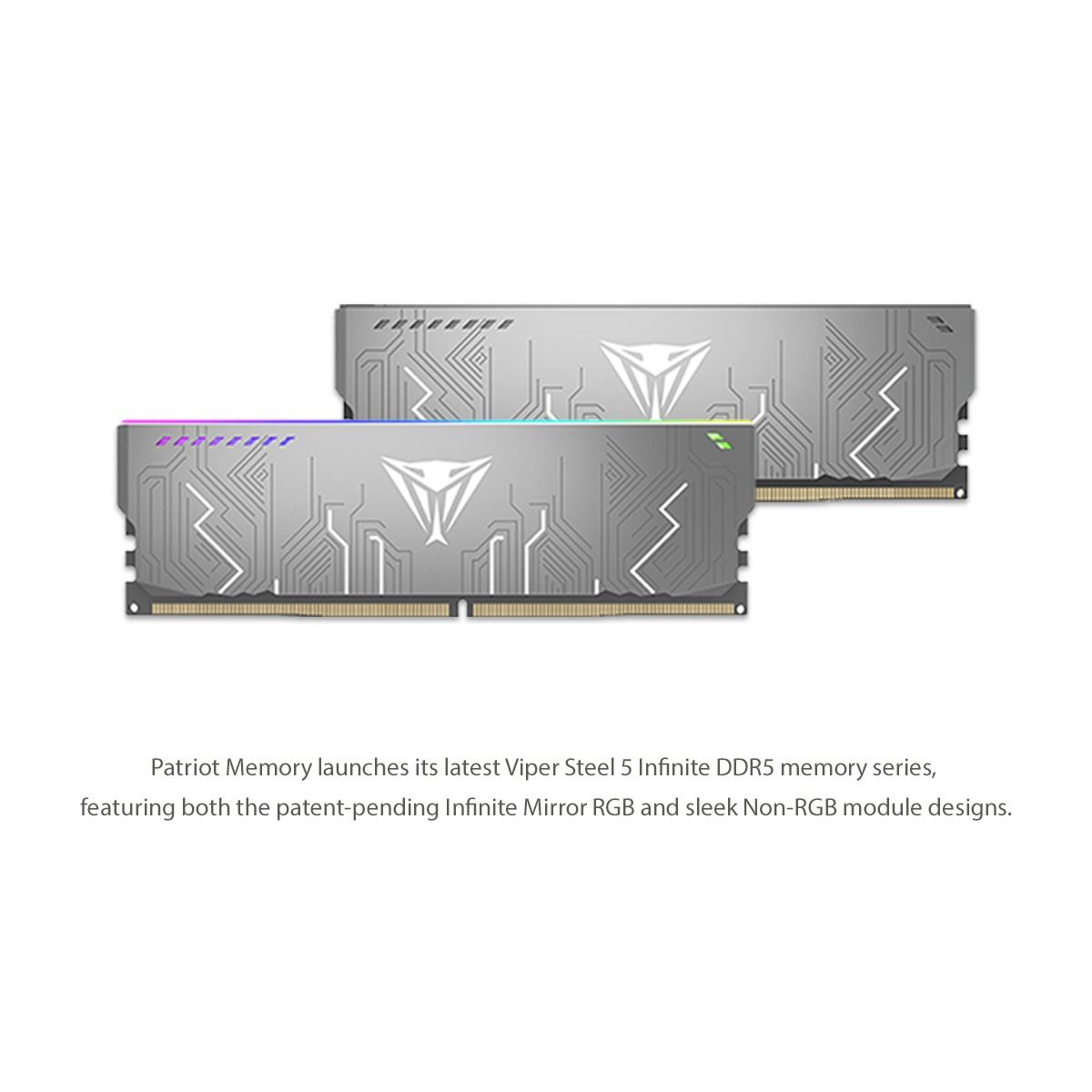 6a4dce7a2bed3313dd0ffb37_Viper Steel 5 Infinite RGB Non-RGB DDR5_News room_1200x1200_EN 1