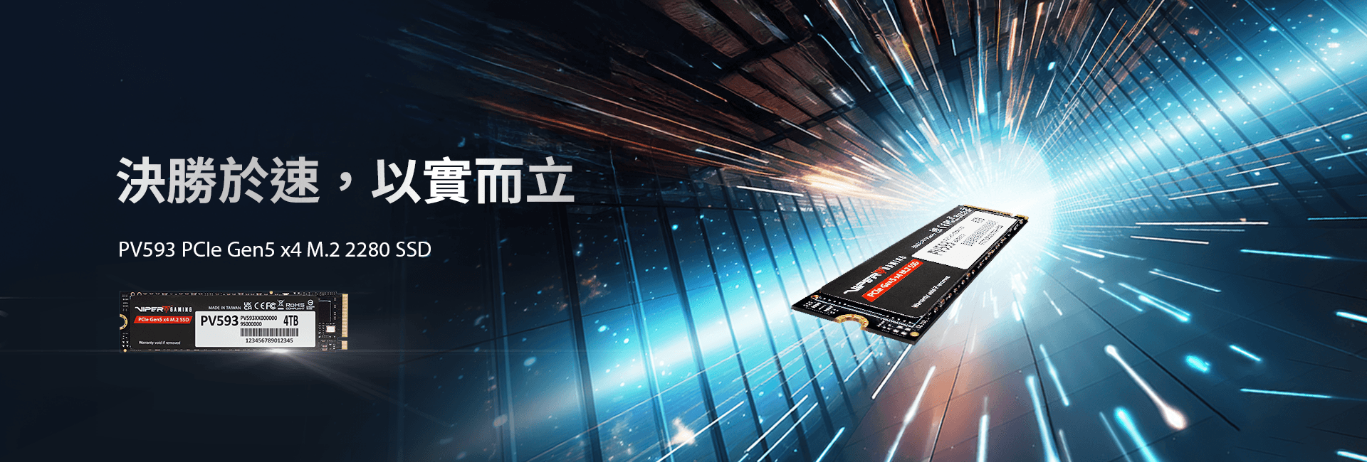 PV593 PCIe Gen5 x4 M.2 2280 固態硬碟