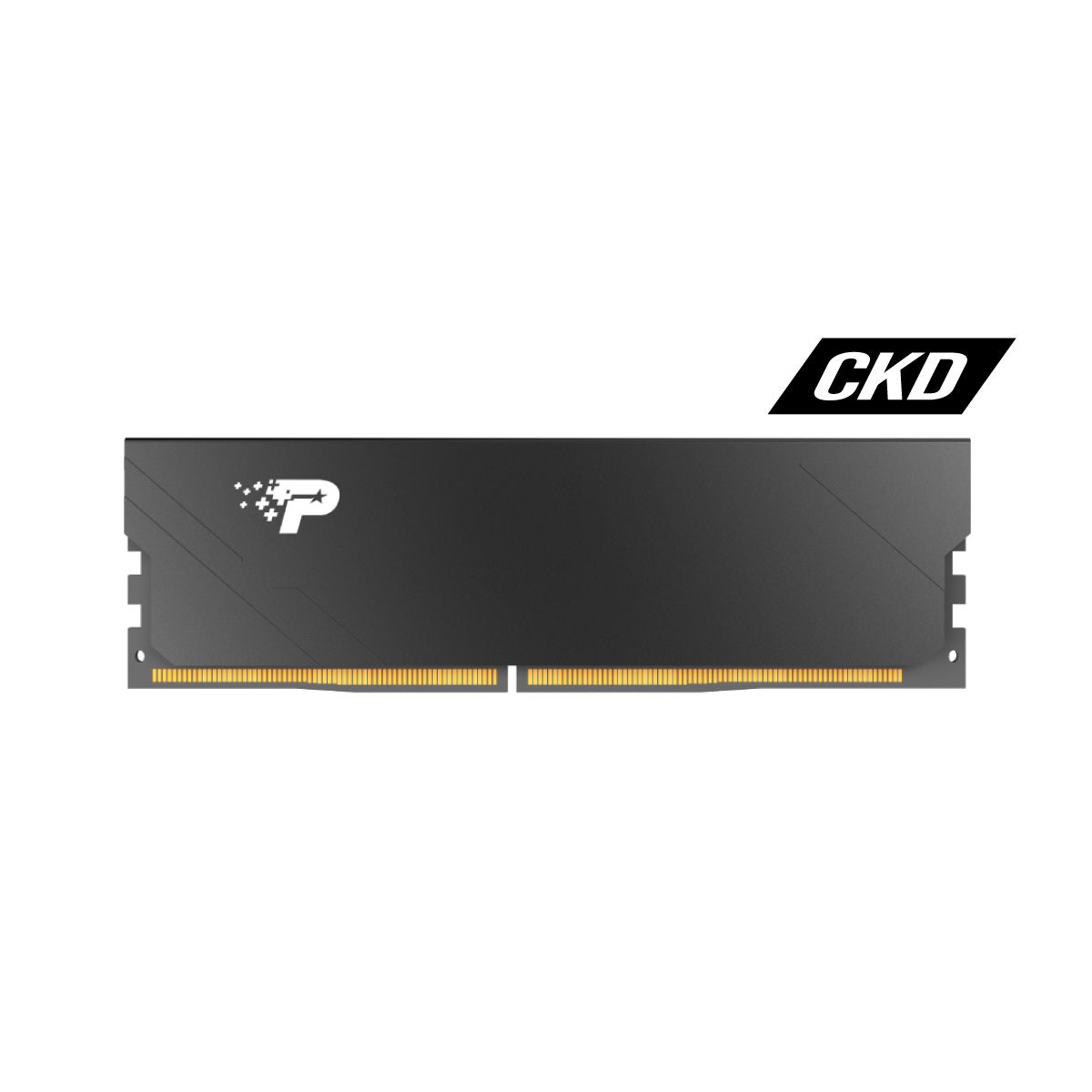 Viper Steel DDR4 | Patriot Memory