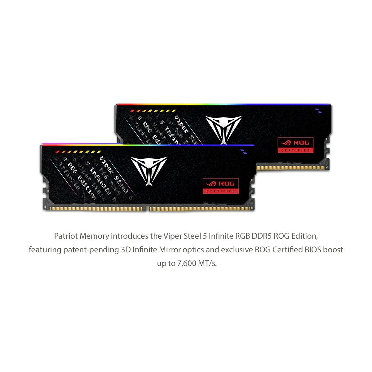 Patriot Launches Viper Steel 5 Infinite ROG Edition Memory, Unlocking Speeds up to 7,600 MT/s