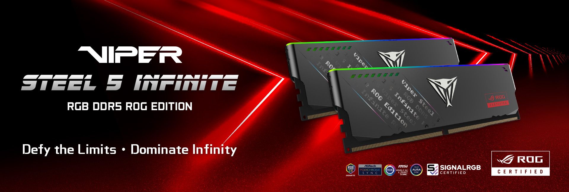 Viper Steel 5 Infinite RGB DDR5 ROG Edition​