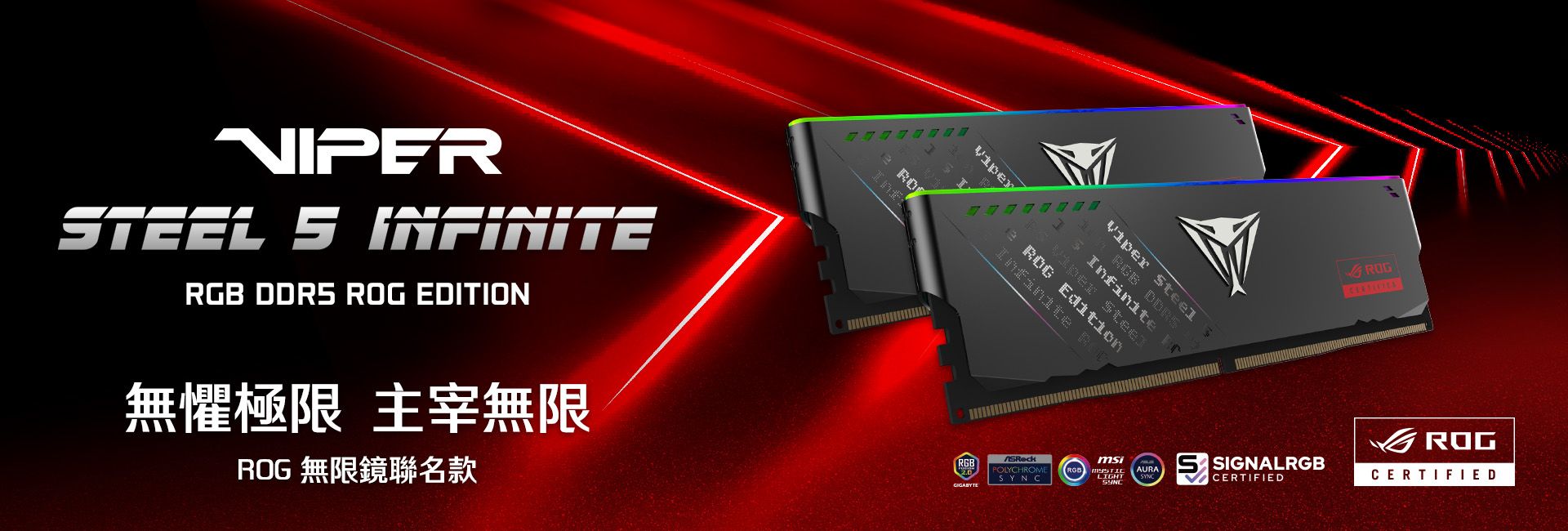Viper Steel 5 Infinite RGB DDR5 ROG Edition​
