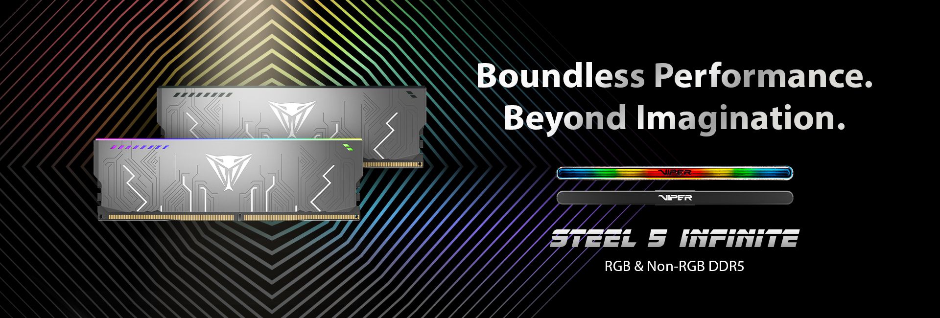 Viper Steel 5 Infinite RGB & Non-RGB DDR5 Performance DRAM